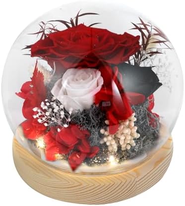 GUOBOYCL Preserved Rose Flower in Glass Dome - Elegant Wedding Gifts, Bridal Shower Gifts, or Graduation Gifts for Her - Perfect Bedroom Decor, for Mom Girlfriend