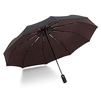 ERGOUZI Oversized 10-Bone Double-Layer Outdoor Umbrella Sun Umbrella Automatic Opening Windproof Umbrella Coffee 23