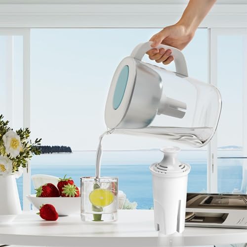 Set de 6 Filtro de Agua para Brita Longlast, Filtros de Repuesto de Jarras y Dispensadores, Filtración de 4 etapas, larga duración, ecológico y libre de BPA,eficazmente calidad agua
