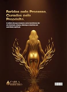 Livro Feridos pelo Processo, Curados pelo Propósito: Do colapso à consciência: Como transformar processos difíceis em direção