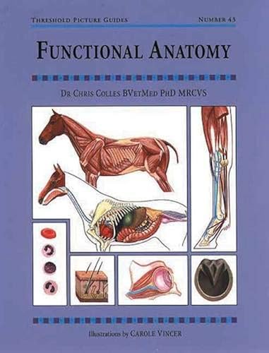 Download Functional Anatomy PDF