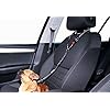 Headrest-dog-car-seat-belt-2-Pack-Adjustable-Durable-Headrest-Seat-belt-Pet-Dog-Car-Safety-Harness-Restraint-with-Elastic-Nylon-Bungee-Buffer Headrest dog car seat belt 2 Pack Adjustable Durable Headrest Seat belt Pet Dog Car Safety Harness Restraint with…