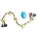 11 Piece Set Dog Puppy Chew Toys - Nearly Indestructible Toys For Dogs To Keep Them Busy and Free of Boredom - Includes Tough Long Lasting Canine Rope Toys, Bones, Rope Ball, and More