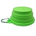 Alfie Pet - Rosh Pet Expandable/Collapsible Travel Bowl with Carabineer for Leash - Size: 1.5 Cups, Color: Green