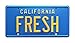Fresh Prince of Bel Air | Fresh | Metal Stamped License Plate