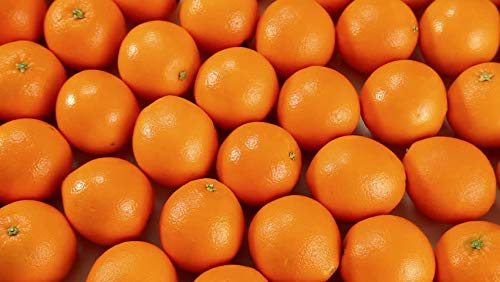SunWest Fresh Navel Oranges (8 Pounds of Oranges)
