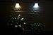 Solar Wall Lights Outdoor Dusk Till Dawn Wall Mounted LED Lights Solar Panel 1.2V Waterproof Wireless Perfect for Landscape Garden Yard Lawn Deck Stairs Fence Corridor (Cool White)