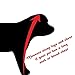 Pandaloon Dog Halloween Costume - As Seen on Shark Tank - Patented - Funny Costume with Arms for Small and Medium Dogs and Cats (Panda, Size 2(15-16 in Height at TOP of Head,Girth<16 in))