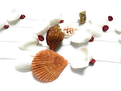 WD-Beautiful Seashell Wind chime Nautical Hanging - Noly shell top for room door window 19 inch