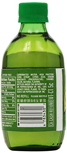 Schweppes Ginger Ale, 10 Fl Oz (Pack of 6)