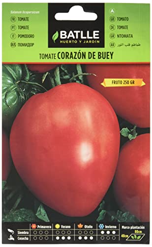 Seeds Batlle – Tomato Seeds Oxen heart