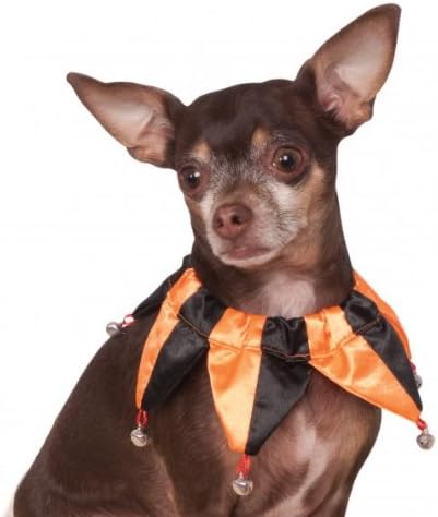 costume dog collar