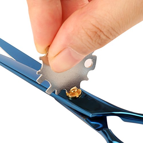 AuroTrends Professional Barber Razor Edge Hair Cutting Shears Set, Sakura Hairdressing Scissors and Hair Thinning Scissors/Shear Set+ Free Case/Hairclips/Comb/Cleaning Cloth (Sakura)