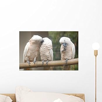 Wallmonkeys Parrot Wall Decal Peel and Stick Graphic WM155914 (18 in W x 12 in H)