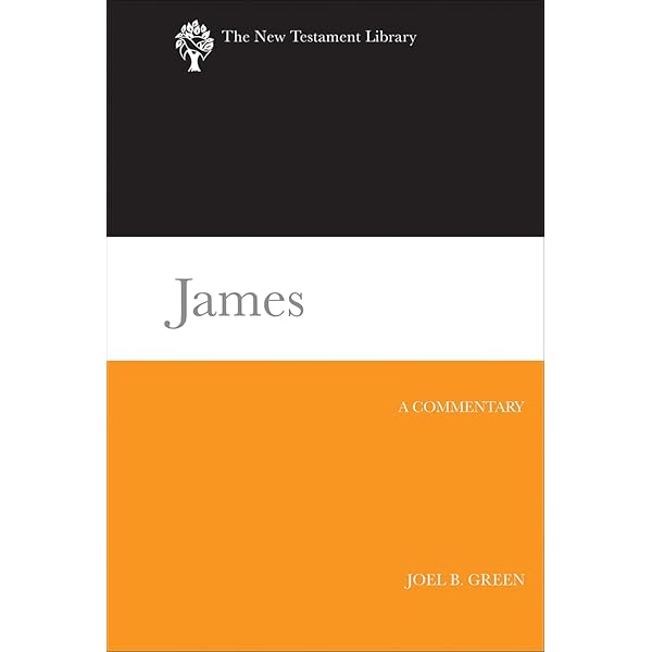 New Introduction To Old Norse: barnes-michael: 9780903521741
