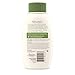 Aveeno Daily Moisturizing Body Wash with Soothing Oat, Creamy Shower Gel, Soap-Free and Dye-Free, Light Fragrance, 12 fl. oz