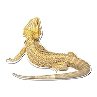 Dark Spark Decals Bearded Dragon Pet Lizard - 4 Inch Full Color Vinyl Decal for Indoor or Outdoor use, Cars, Laptops, Décor, Windows, and More