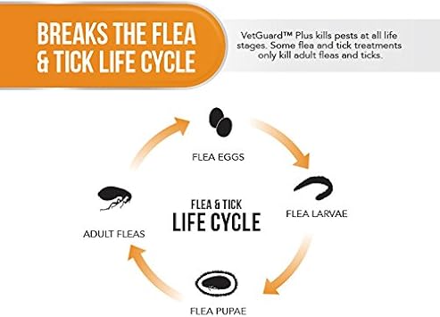 vetguard plus flea and tick treatment