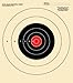 25 Yard Slow Fire Pistol Target, Official NRA Target B-16, Bullseye Target, Archery, Gun, Rifle, Pistol, Airsoft, BB Gun, Air Rifle