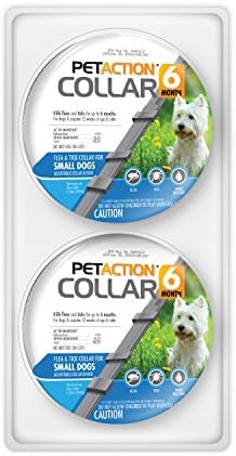 petaction collar