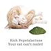 Pet Magasin All Natural Canadian-Grown Fine-Grind Catnip Cat Treats for Cats of All Sizes by