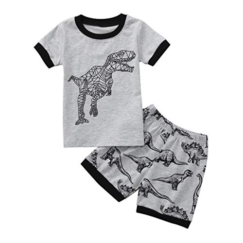 Hot Sale! Toddler Kids Baby Boys Dinosaur Pajamas Cartoon Print T Shirt Tops Shorts Outfits Set (Dark Gray, 4T)