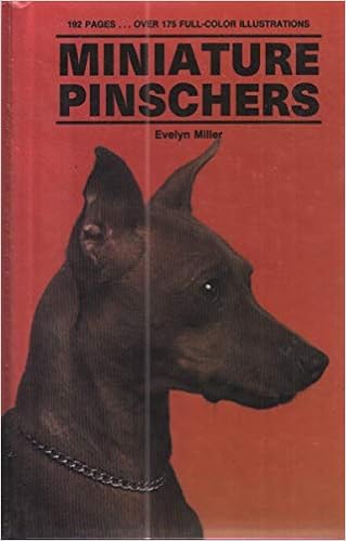 Miniature Pinschers �n�[�h�J�o�[  - 1993/2/1