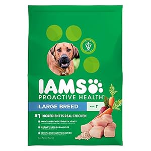 Image of IAMS PROACTIVE HEALTH Adult Large Breed Dry Dog Food Chicken, 30 lb. Bag