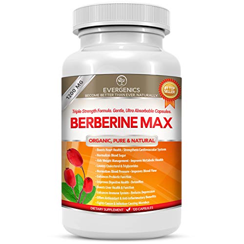 Top Berberine Real Supplements