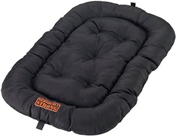 darwin's intelligent design dog food