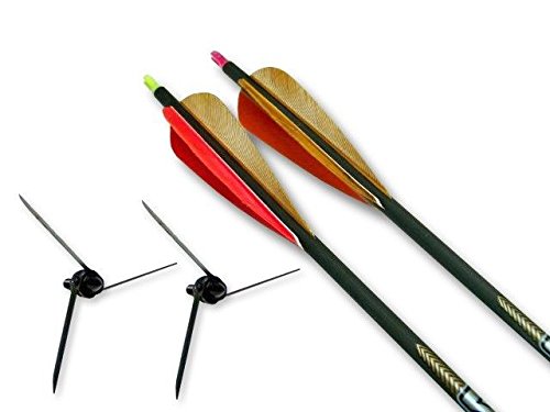 Magnus Bullhead kit/2-125 grain/2- .300 arrows