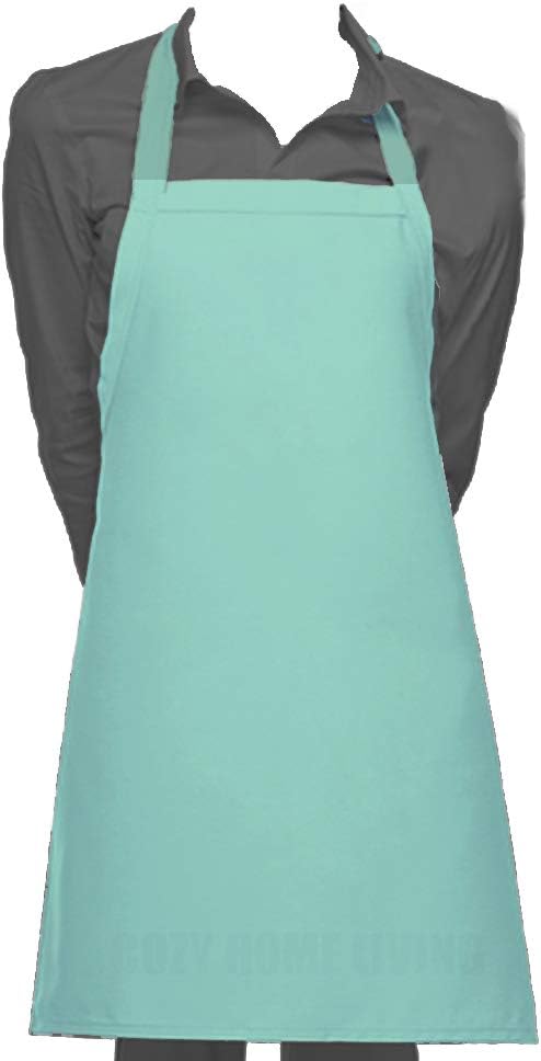 Cozy Home Glossy Smooth Vinyl Waterproof Apron Ultra Lightweight (1, Turquoise Blue)
