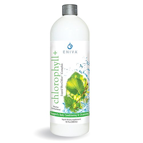 Chlorophyll Complex Natural Liquid Greens Concentrate Dr