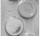 Maxell 2 CR2450 CR 2450 3V Lithium Batteries