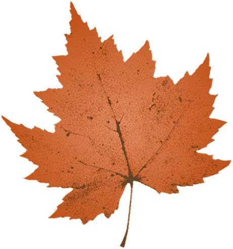 Refoc Maple Leaves Garland String Lights 30 LED Lights 10Ft Seasonal Waterproof Fall Leaf Decoration Halloween Thanksgiving Christmas Party (2 Pack)