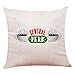 Pillow Case 1818 inch Frame Yellow Peephole Handmade Door Frame-Central Perk Coffee Time Souvenir Pillow Cover for Fans