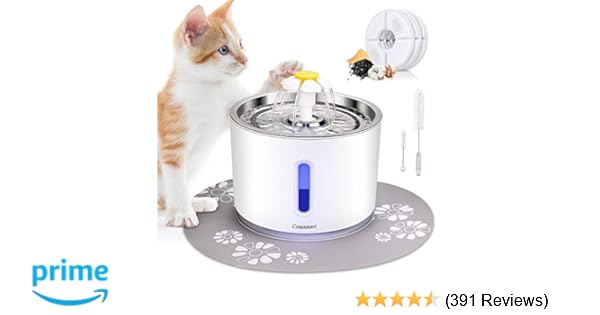 Amazon Com Comsmart Cat Water Fountain 81oz 2 4l Led Pet