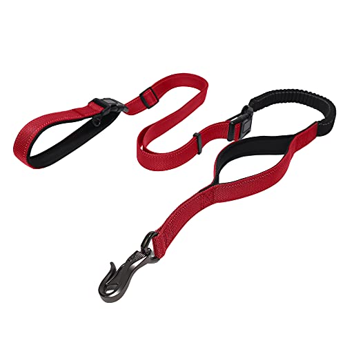 Great dog leash