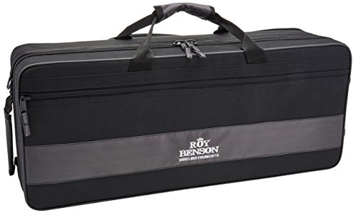 Roy Benson RBAS302 Eb Professional Alto Saxophone