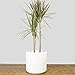 PEACH & PEBBLE Indoor Plant Pot (10.5