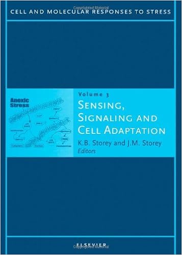 проектирование автоматизированных систем методические указания