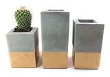 Square Concrete Succulent Planters/Air Plant Holders/Vase. (set of 3) BIRCH & GOLD.