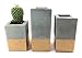 Square Concrete Succulent Planters/Air Plant Holders/Vase. (set of 3) BIRCH & GOLD. Cement Succulent pots. Modern Planter set