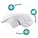Balichun Premium Goose Down Comforter Queen- Solid White - Soft 1500 Thread Count Cotton Shell - 750 Fill Power - Down Duvet Insert with Tabs (White, Queen)
