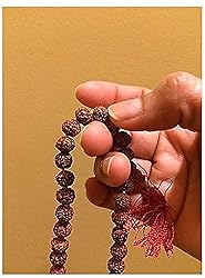 AANSSS Knotted Rudraksha 108+1 Beads