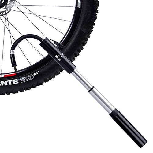 Buy SLB Mini Bike Pump, Fits Presta & Schrader Valve, Ultra Lightweight