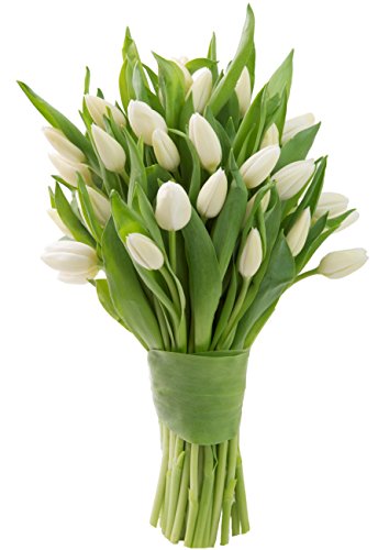 Farm2Door: 30 White Tulips Fresh from Holland - Farm Direct Wholesale Fresh Flowers