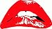 valstick The Rocky Horror Picture Show Bumper Sticker 6" x 3"