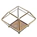 MyGift Vintage Brass & Glass Decorative Jewelry Box, Plant Terrarium Display with Lid