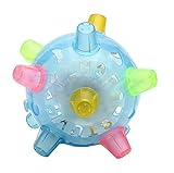 Colorcasa Milo Jumping Activation Ball (Random Color)